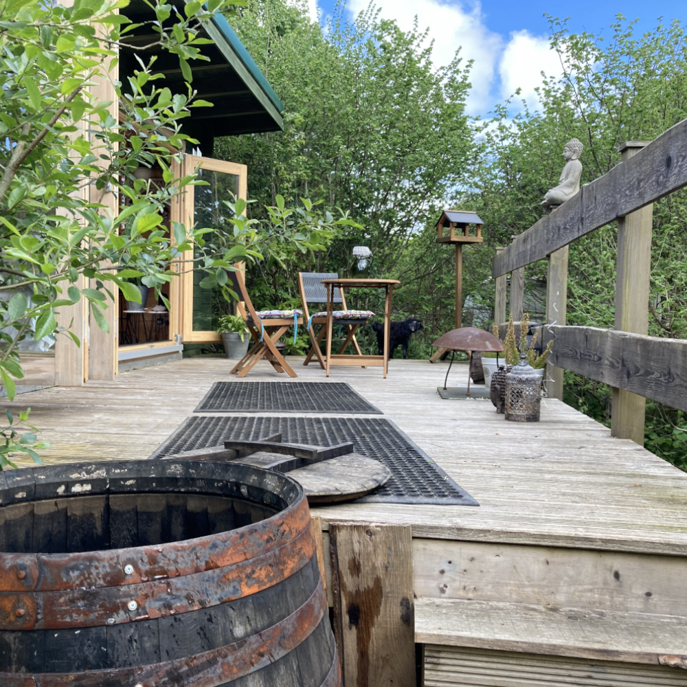 Cornwall Beauty Aesthetics woodland deck